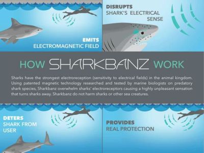 シャークバンズ SHARKBANZ 2 サーフィン ダイビング サメ避けバンド 