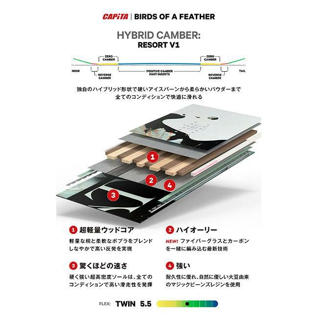 CAPITA BIRDS OF A FEATHER・キャピタ バーズ オブ ア フェザー】2024-2025ニューモデルスノーボード。  国内最大級の品揃え！！スノーボード買うならムラスポ本厚木ミロード店！！ |RIDE LIFE MAGAZINE ムラサキスポーツ |  ムラサキスポーツ/MURASAKI SPORTS公式サイト