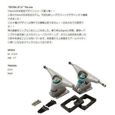 CARVER カーバ TRITON The sea 31 サーフスケート スケート